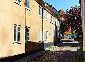 62P1204 